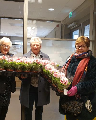 Bloemen 19 maart